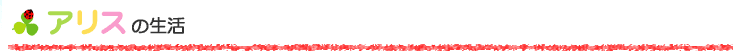 アリスの生活